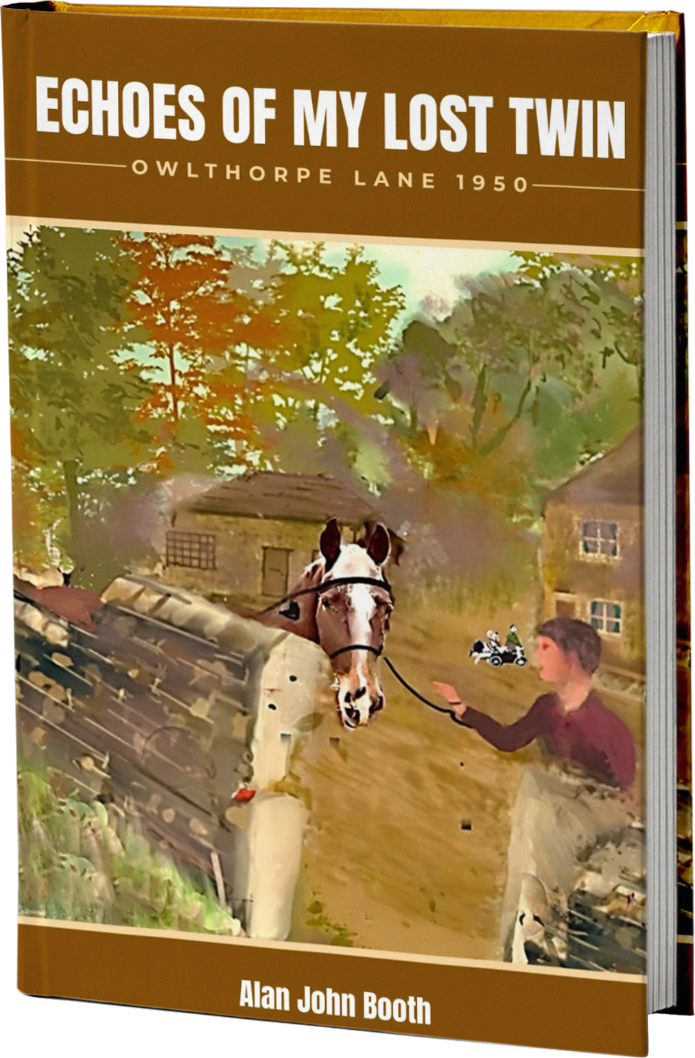 Echoes Of My Lost Twin